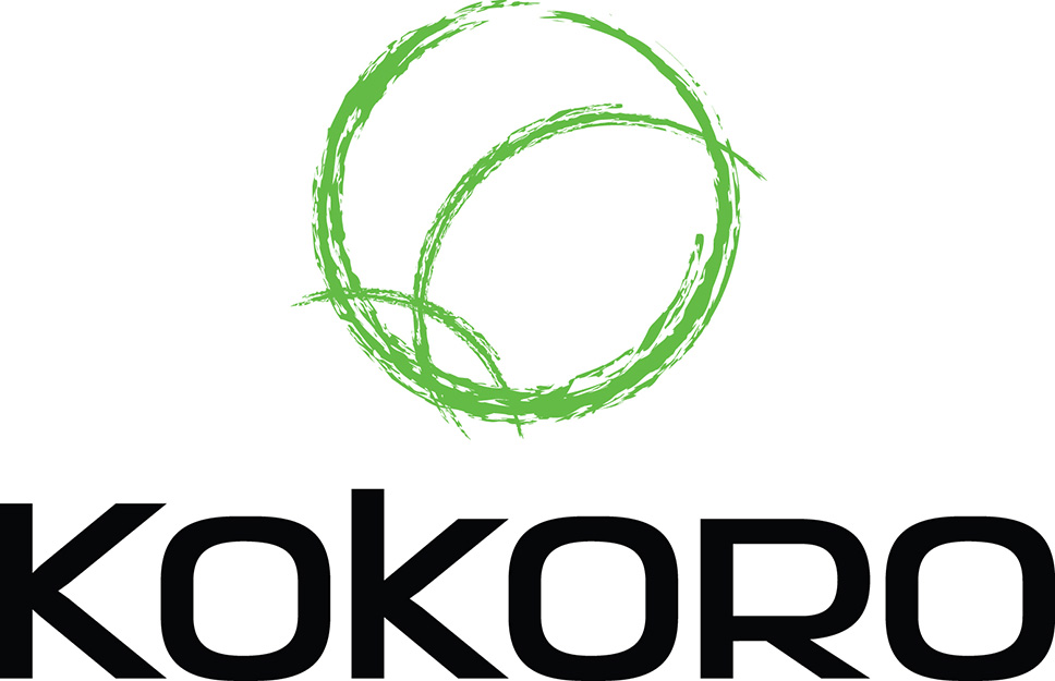 Kokoro Marketing Automation